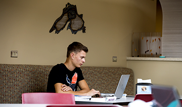 Student studying at a laptop