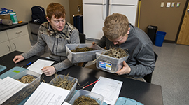 Students looking at different feed samples