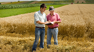 Two farmers in a field looking at a tablet