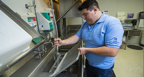 A student washing dishes