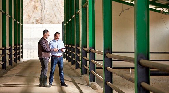 A new farmer looking at an empty farm with a banker