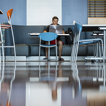 Image of a student sitting at a laptop at a table