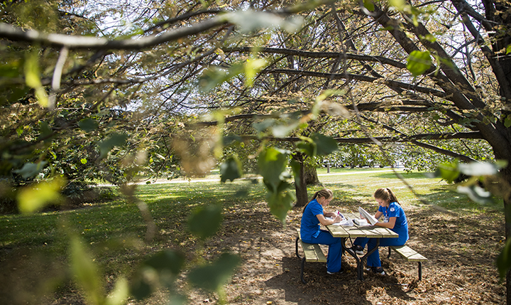 Nursing students studying at a picnic table under a tree Nursing students studying at a picnic table under a tree