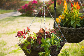 Two potted flower pots with colorful flowers