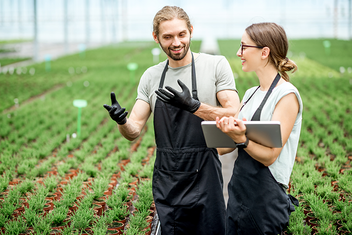 Two farmers in a greenhouse