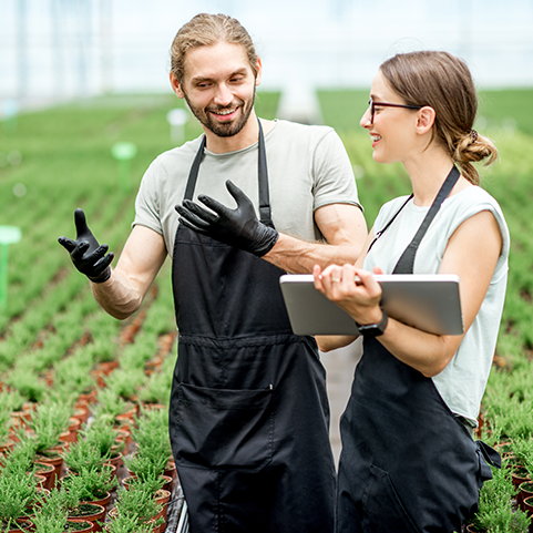 Two farmers in a greenhouse