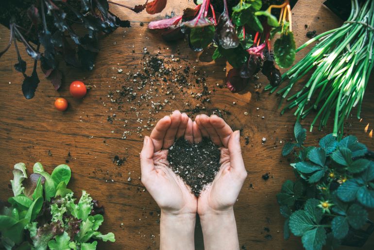 Close up of hands resting on a wooden table, holding soil in the shape of a heart, surrounded by produce