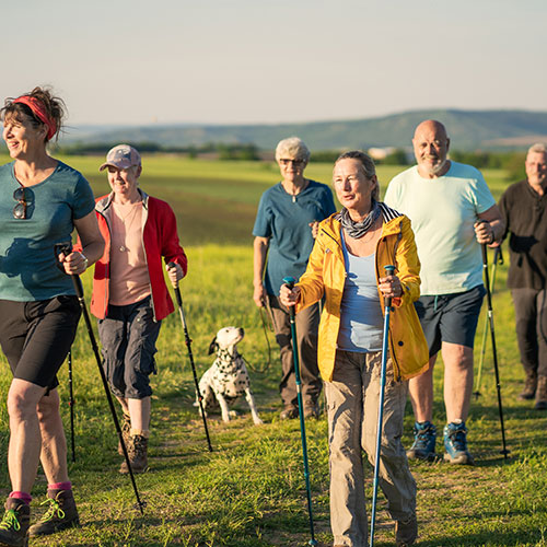 A family walking on a hiking trail