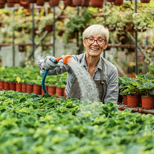 Older woman watering flowers in greenhouse