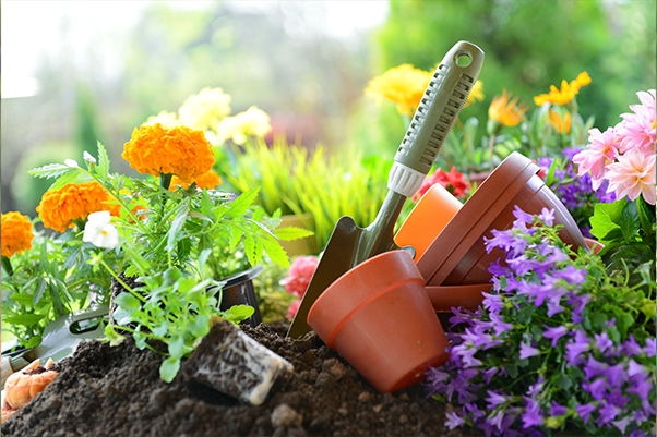 garden spade next to small pots filled with orange marigolds and purple verbena