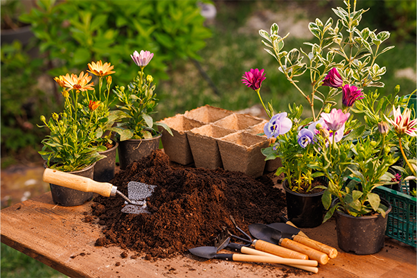 close up of a garden spade next to violets and daisies