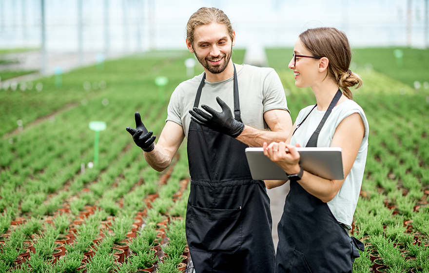 Two farmers in a greenhouse