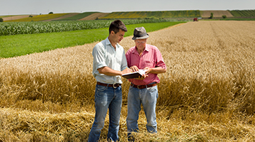 Two farmers in a field looking at a tablet