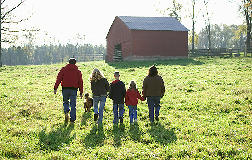 A family walking in a green field toward a farm