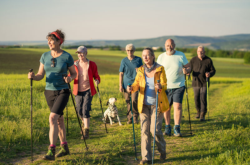 A family walking on a hiking trail