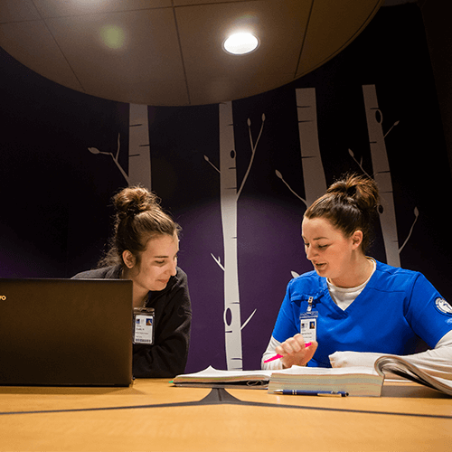 Two students studying together