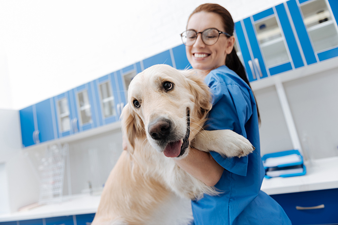 Veterinary Technician Requirements and Application | Northwood Technical  College