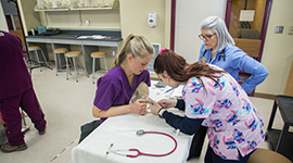 Veterinary technician students clipping a rabbit's toenails
