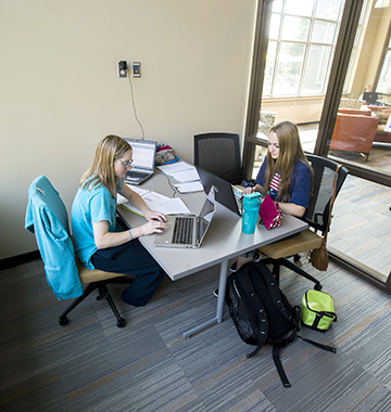 Two students studying